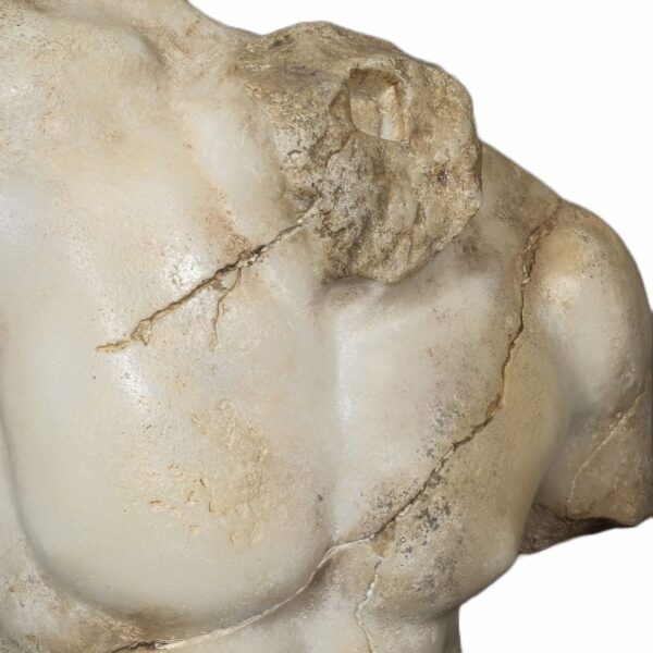 torso gran gladiador romano
