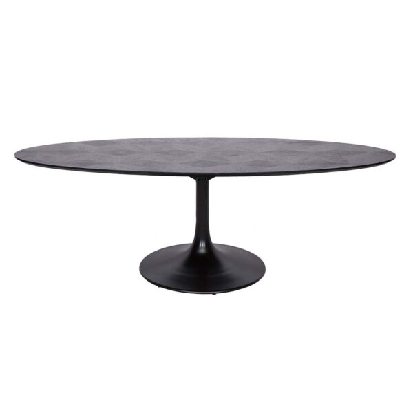 Dining table Blax oval 230 (Black)