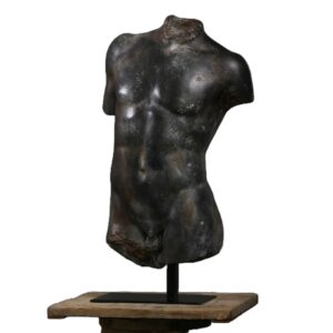 torso hermes