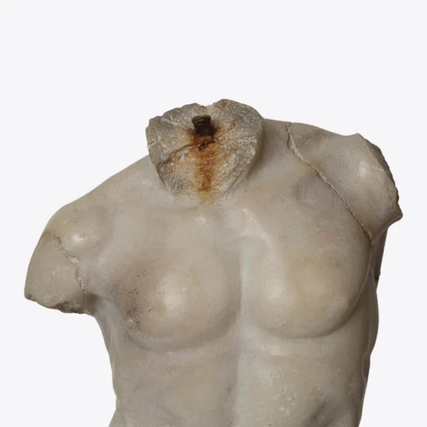 Torso Maximiliano 5