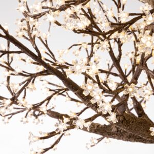 Árbol Almendro Lucent 280 1