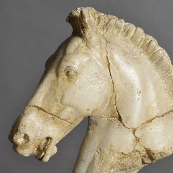 Cabeza Caballo de Monti 1