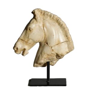 Cabeza Caballo de Monti