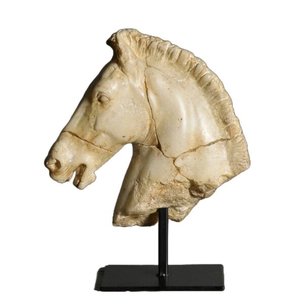 Cabeza Caballo de Monti