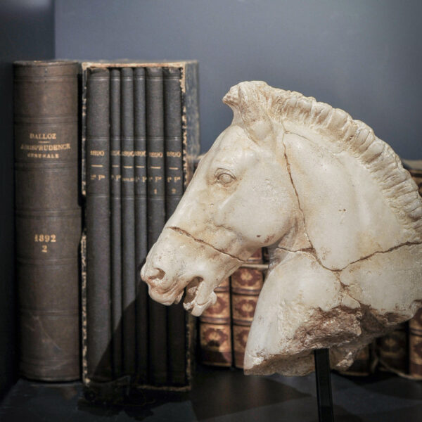 Cabeza Caballo de Monti 4