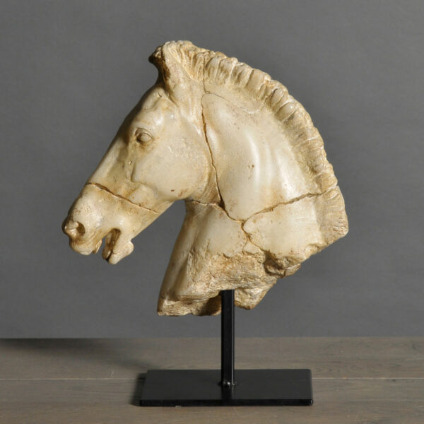 Cabeza Caballo de Monti