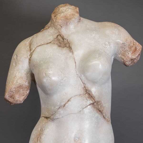 Venus Parisina 2