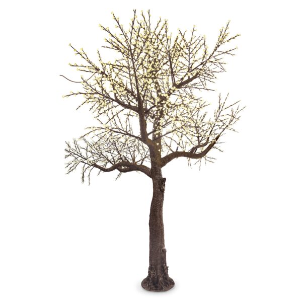 árbol cerezo lucent 500