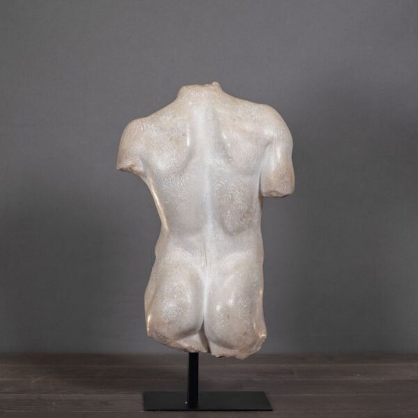 Torso pequeño Hermes 2
