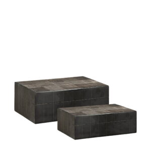 AVORIO 2-pack boxes