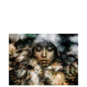 FRIO photo art - 150x100, Plexiglas