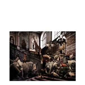 CITY JUNGLE Photographic art - 150x100, Plexiglas