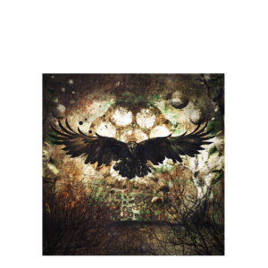 RAVEN Photographic art - 150x150, Plexiglas