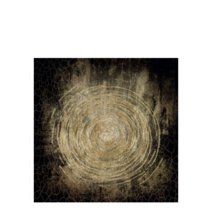 CIRCLE OF LIFE Photographic art - 100x100, Aluminium