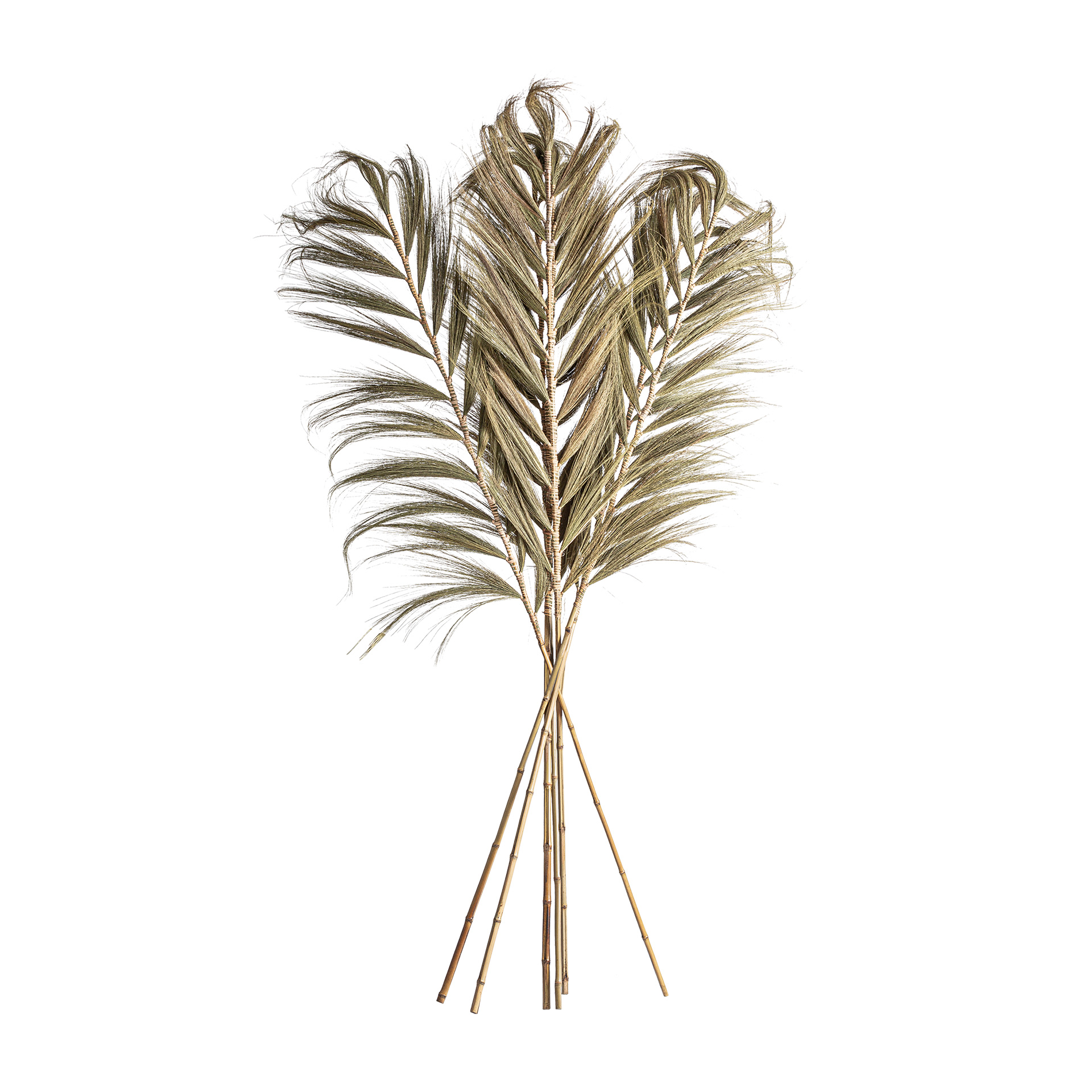 BRANCHÉ DECORATIVE SET 6