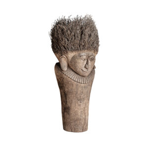 BUSTO EPI