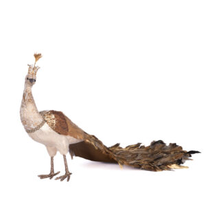 Pavo Real oro marrón