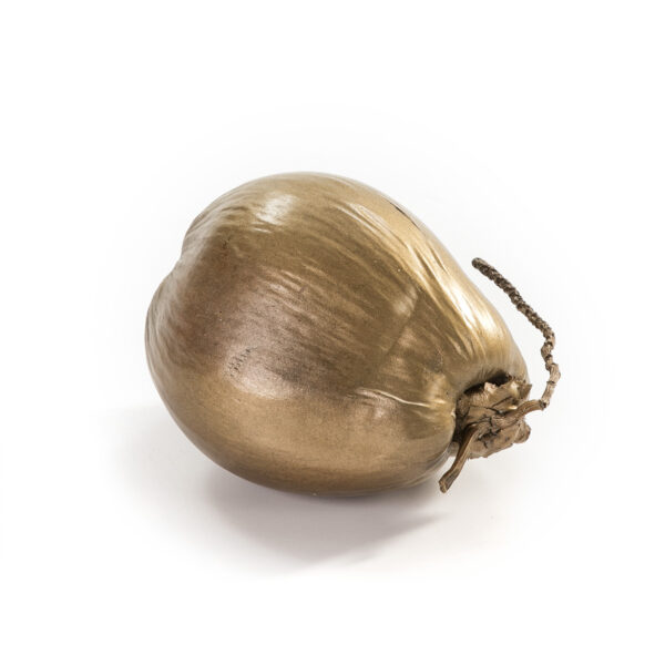 Coco 20 cm aprox. Coco Dorado