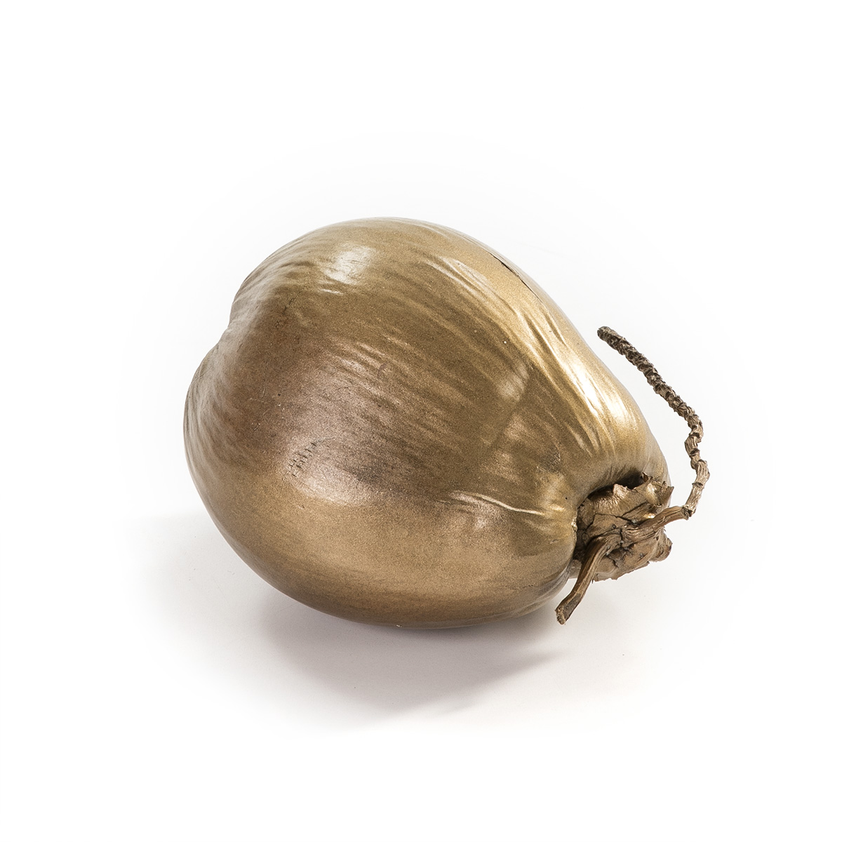 Coco 20 cm aprox. Coco Dorado