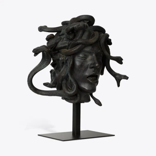 Cabeza de medusa femenina 1
