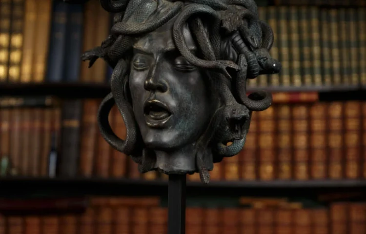 Cabeza de medusa femenina 11