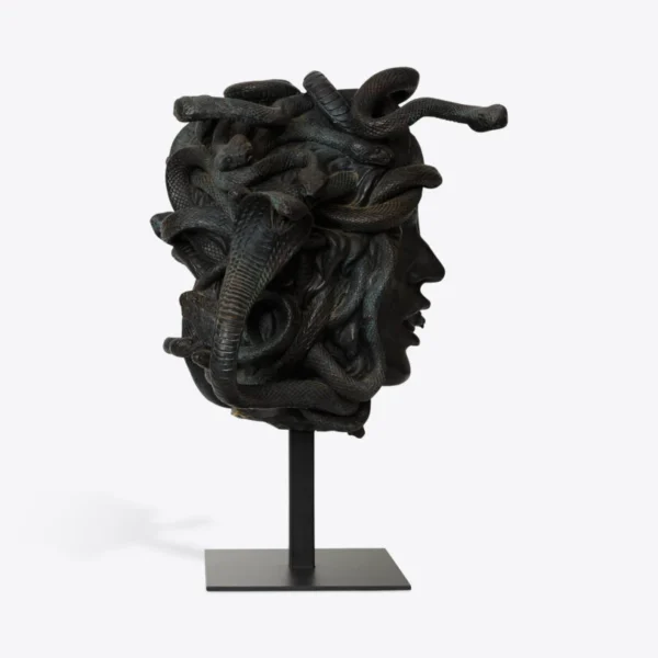 Cabeza de medusa femenina 2