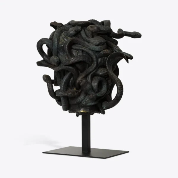 Cabeza de medusa femenina 3