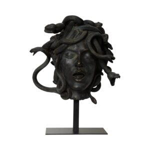 Cabeza de medusa femenina