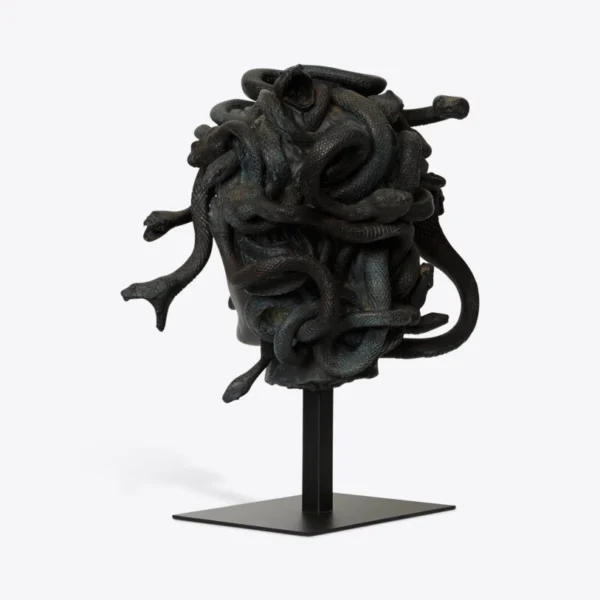 Cabeza de medusa femenina 4