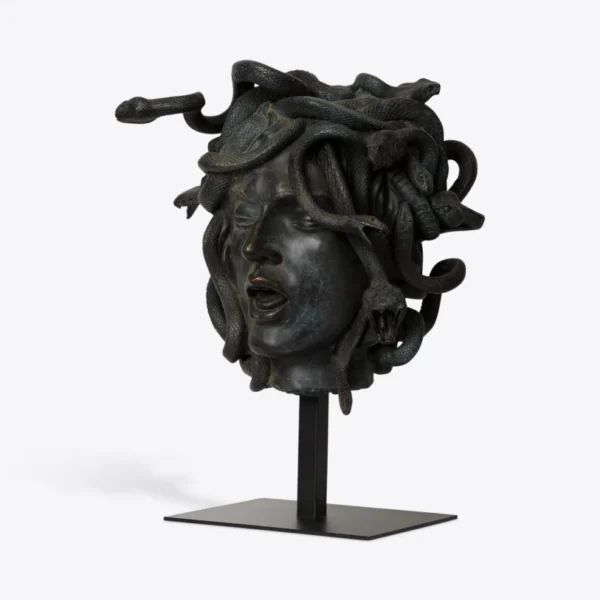 Cabeza de medusa femenina 6