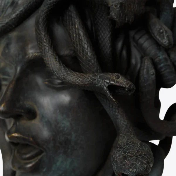 Cabeza de medusa femenina 7