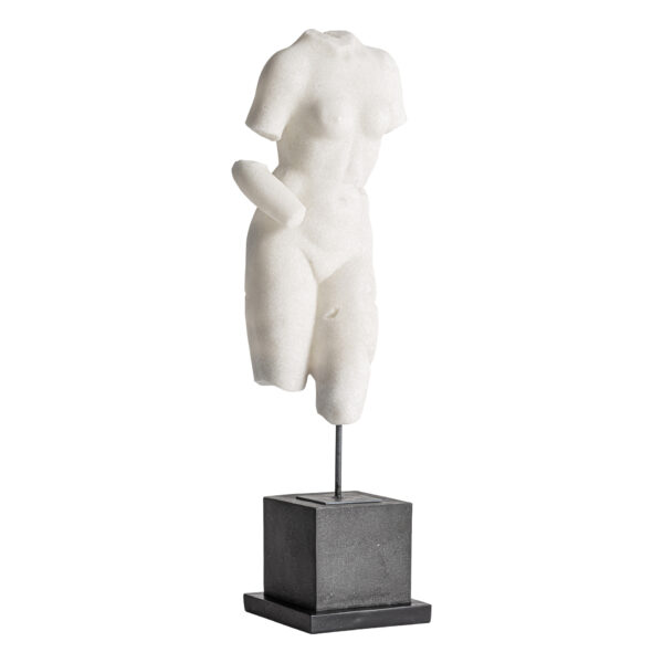 BUSTO