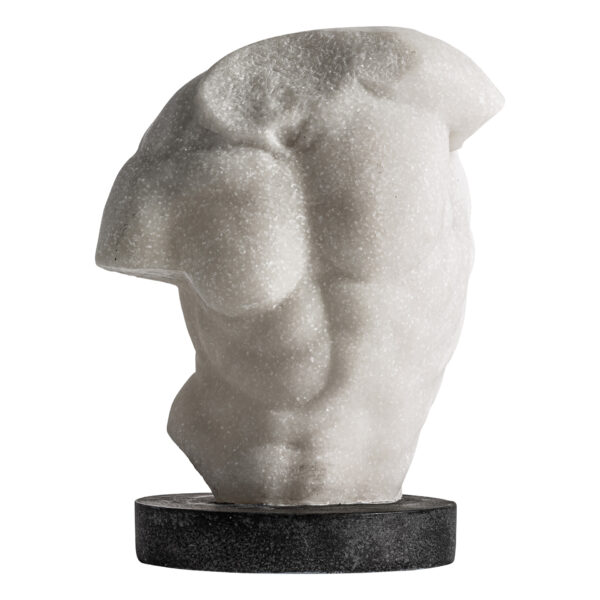 BUSTO