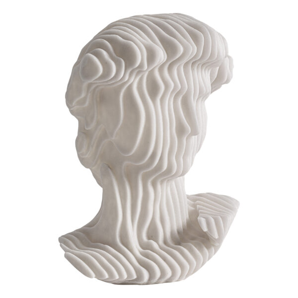 BUSTO