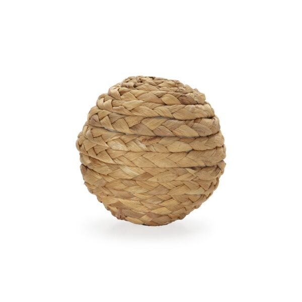 Figura 10x10x10 Jacinto de Agua -- Natural