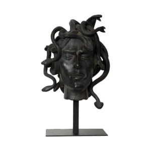 Cabeza de medusa masculina