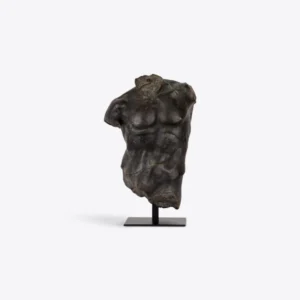 Torso Maximiliano pequeño negro