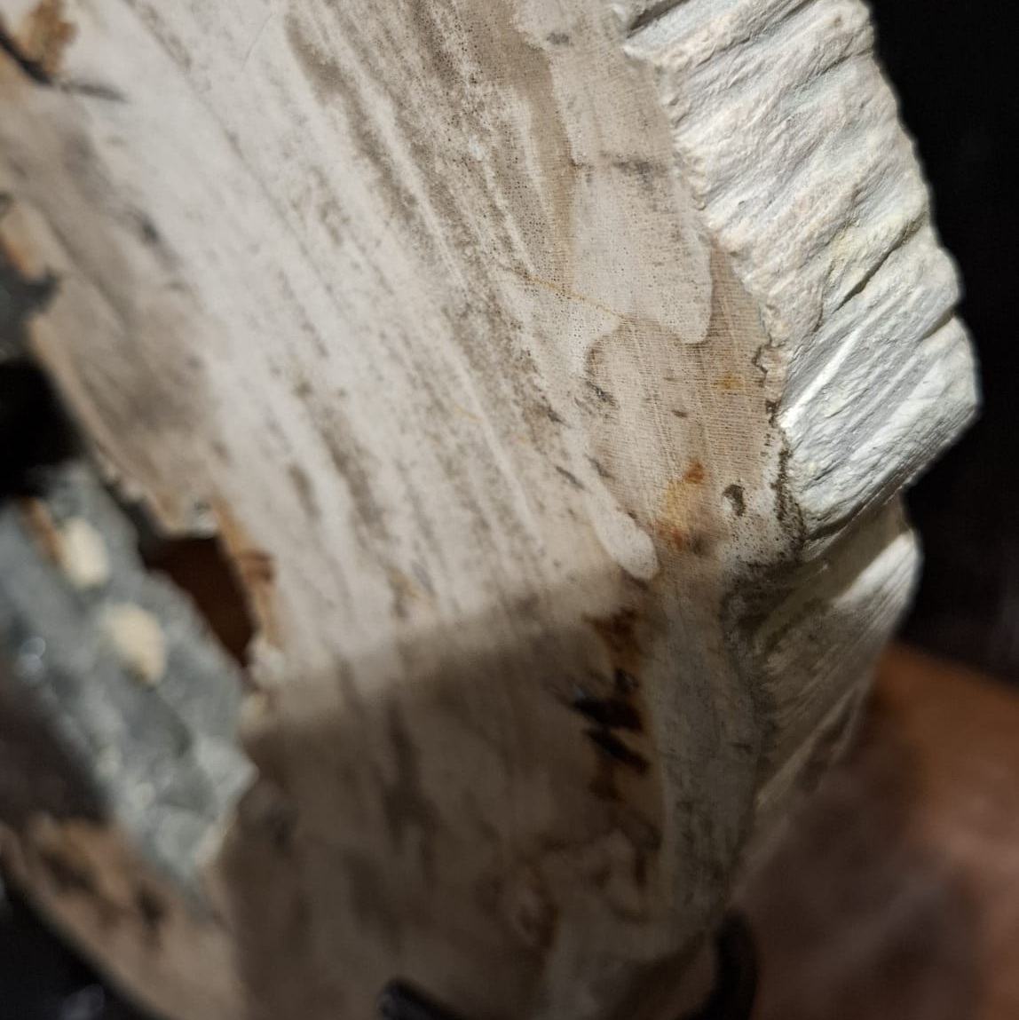 Figura Fósil madera petrificada 2 Figura Fósil madera petrificada 2