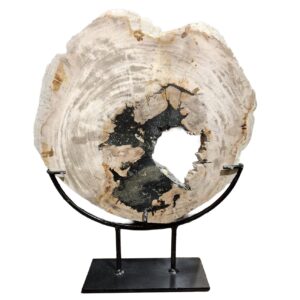 Figura Fósil madera petrificada