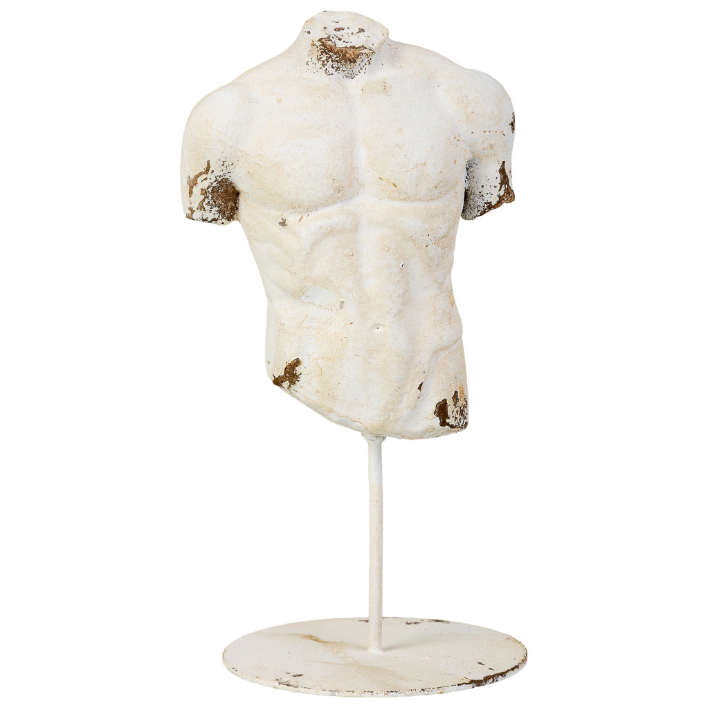 Torso Masculino pequeño 1 Torso Masculino pequeño 1