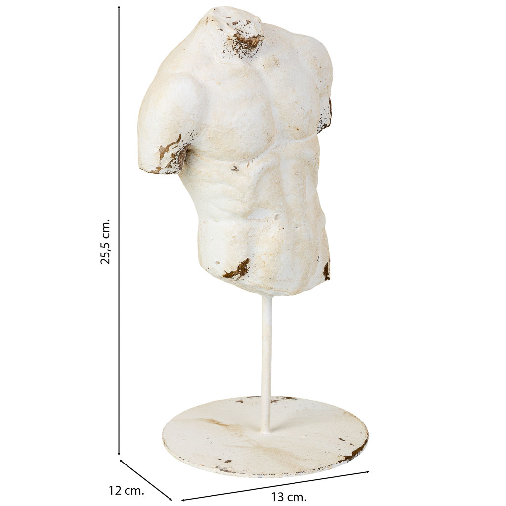 Torso Masculino pequeño 2