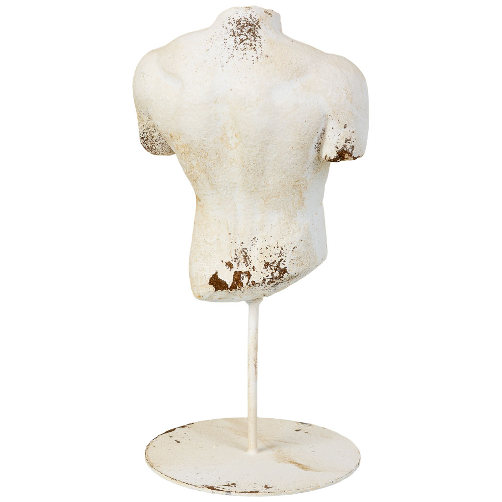 Torso Masculino pequeño 4