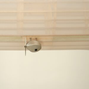 Zepelín Transparente gigante 3