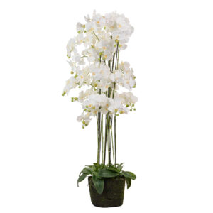 ORQUIDEA POLIESTER BLANCA 70x70x155 CM