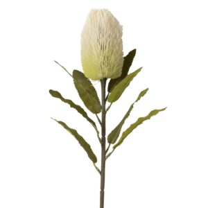 FLOR PROTEA POLIESTER BLANCA 20x20x66 CM