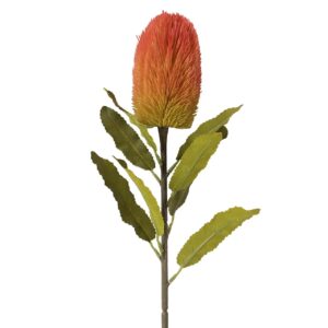 FLOR PROTEA POLIESTER NARANJA 20x20x66 CM