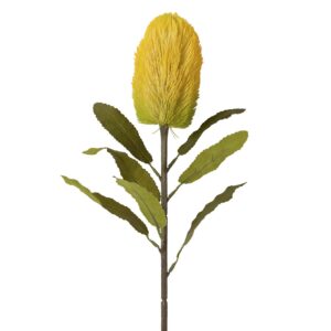 FLOR PROTEA POLIESTER AMARILLA 20x20x66 CM