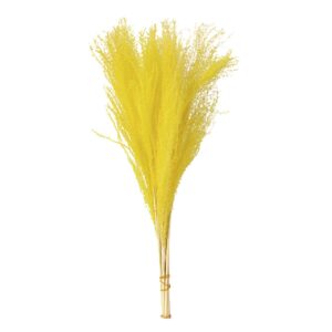 FLORES PRESERVADAS AMARILLAS 30x15x60 CM
