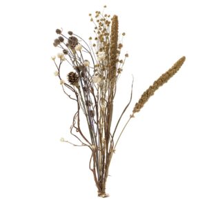 BOUQUET FLORES SILVERESTRES PRESERVADAS 26x15x43CM