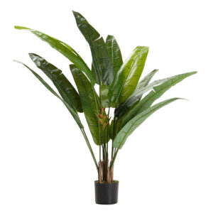 ARBOL DEL VIAJERO 80x80x140 CM